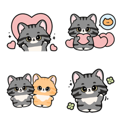 Cat (Maine Coon)