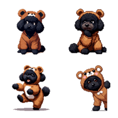 Pixel art bear costume toypoodle black e