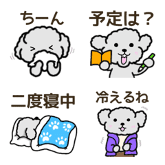 春に使える黒プードル