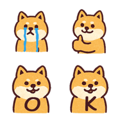 Cute Shiba Inu+26English