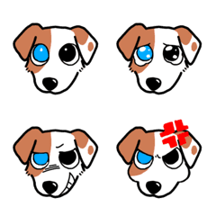 Odd-eyed JRT