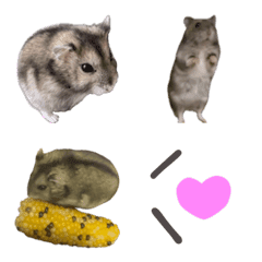 Hana chan the dwarf hamster Emoji Vol.1