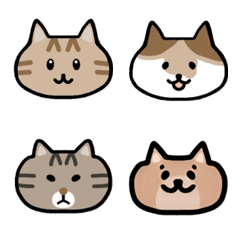 My favorite cat and dog