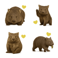 ウォンバットはハムスターとクマに似て 2き