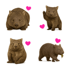 ウォンバットはハムスターとクマに似て 5む