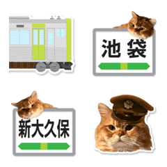 Persian cat hiyoko&train&station sign