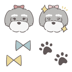 Schnauzer 01