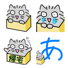 はこねこ