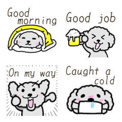 Black poodle to use in winter.