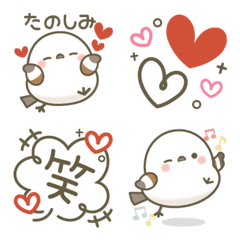 *Adult cute  Bird