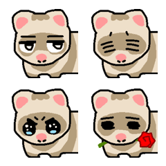 ferret COSMO