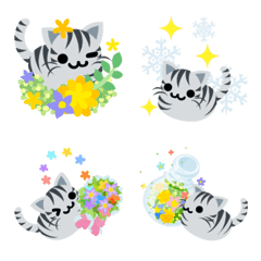 Mackerel Tabby Cat