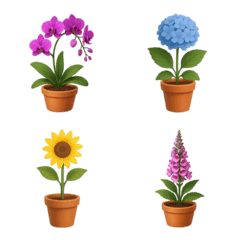 My Flowers