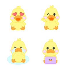 DorePed Cute