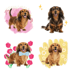 DOG GOOD Emoji25
