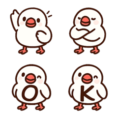 Cute White Munia+26English