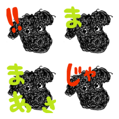 黒トイプーのまあさ