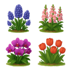 My love flowers