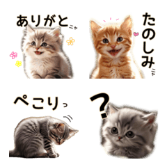 毎日のふわふわ子猫絵文字