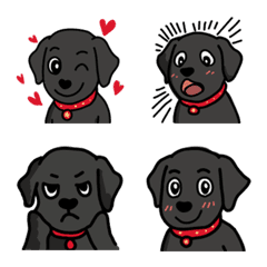 KURO LOVE Spring