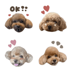 moca.moa.emoji