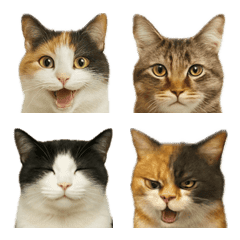 A small icon of a cat