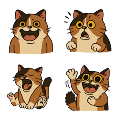 Daily Mood Cat