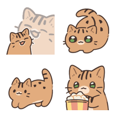 Lammmi the little cat-01 Daily Lammmi