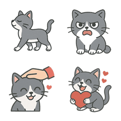 Huibao the Boss Cat is Here!