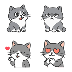 Huibao the Boss Cat is Here! Part 2