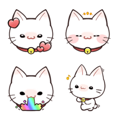 The daily life of a white cat