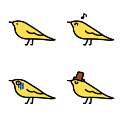 The morning birds