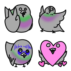 Pigeon Japanese name is Poppo!