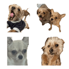 Goru