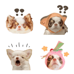 aru.jill.emoji