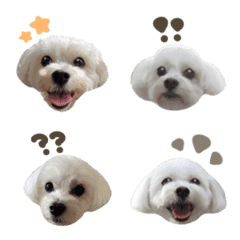 riley.emoji