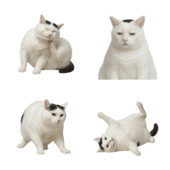 非常に太った白い猫の絵文字