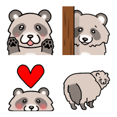 Cute raccoon dog emoji every day