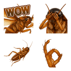 強強小劇場｜蟑螂表情貼