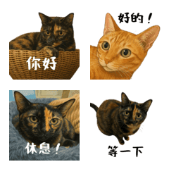 小花與吉利的貼圖表情