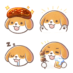 ビーグル ドンちゃん