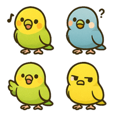 かわいいインコ!