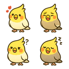 かわいいオカメインコ!