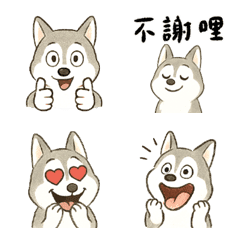 Silly Silly Husky Dog