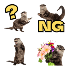 かわうそトーク