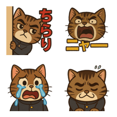 ペー猫&ペー家族