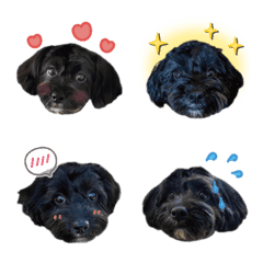 マルプー福★日常絵文字