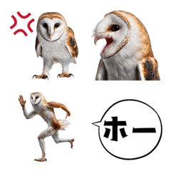 メンフクロウの伝言便です！