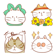 summer CAT2025