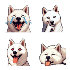 無言で伝える白柴 リアクション絵文字